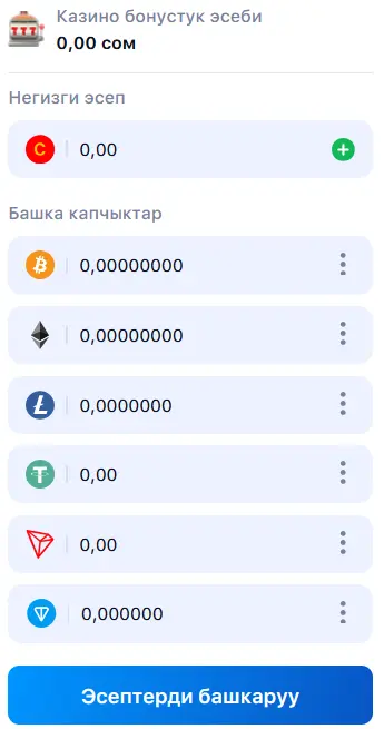 Негизги эсеп, Башка капчыктар Негизги эсеп, Башка капчыктар
